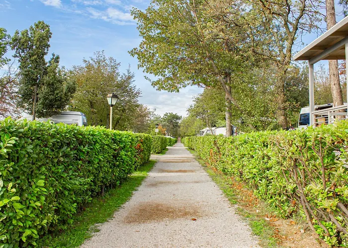 Glamping Sistiani Οργανωμένο κάμπινγκ